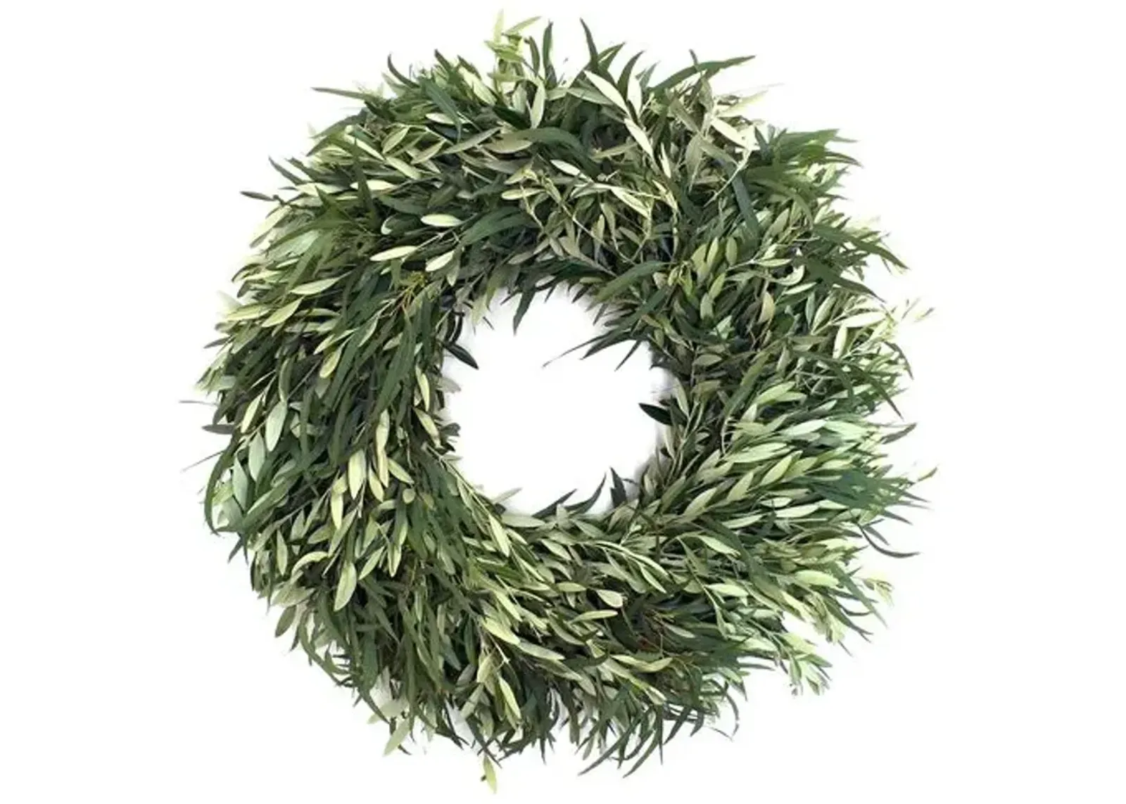 30" Willow Eucalyptus Wreath - Live - Creekside Farms - Handcrafted - Green