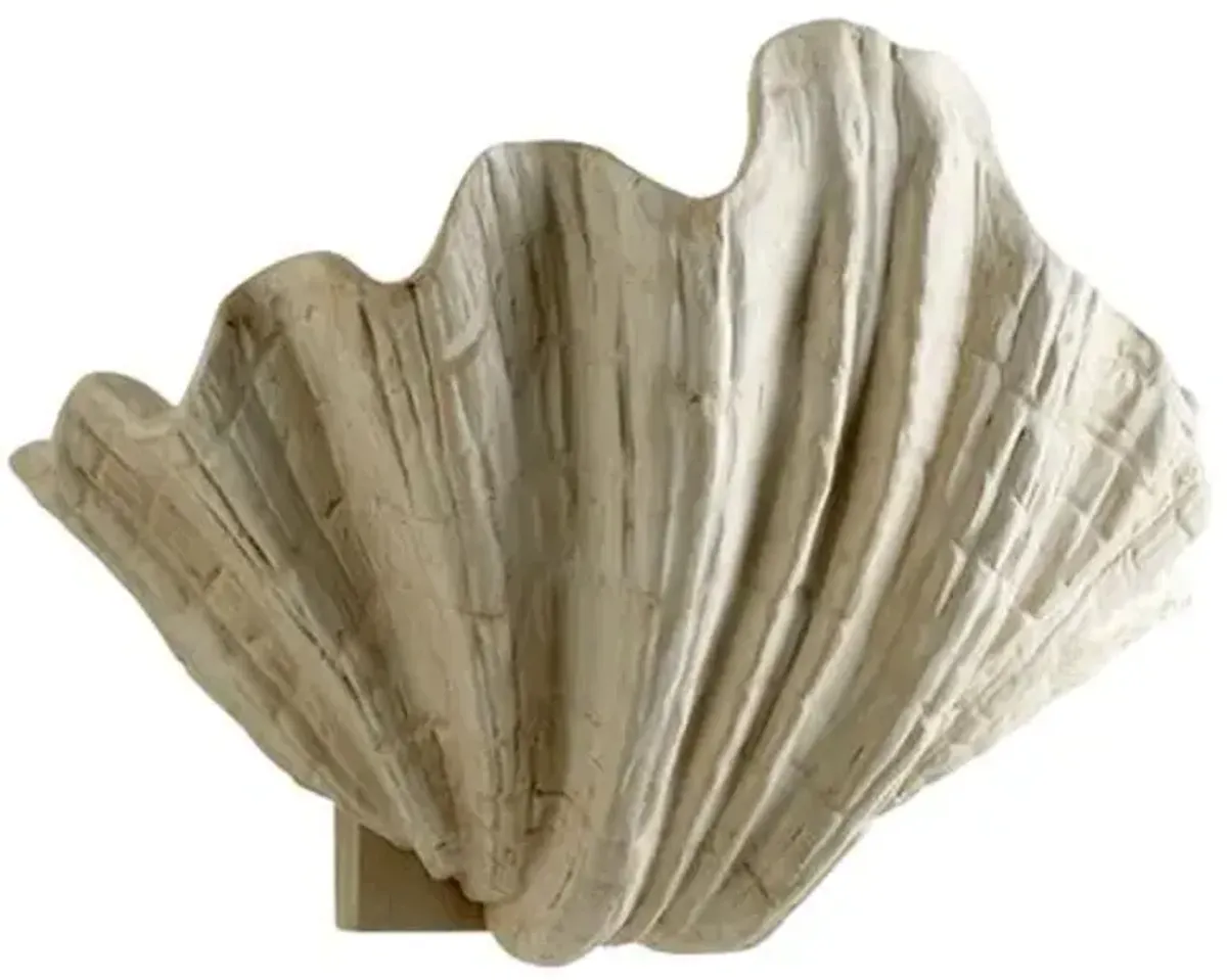 Shelly Wall Sconce - White - Cyan