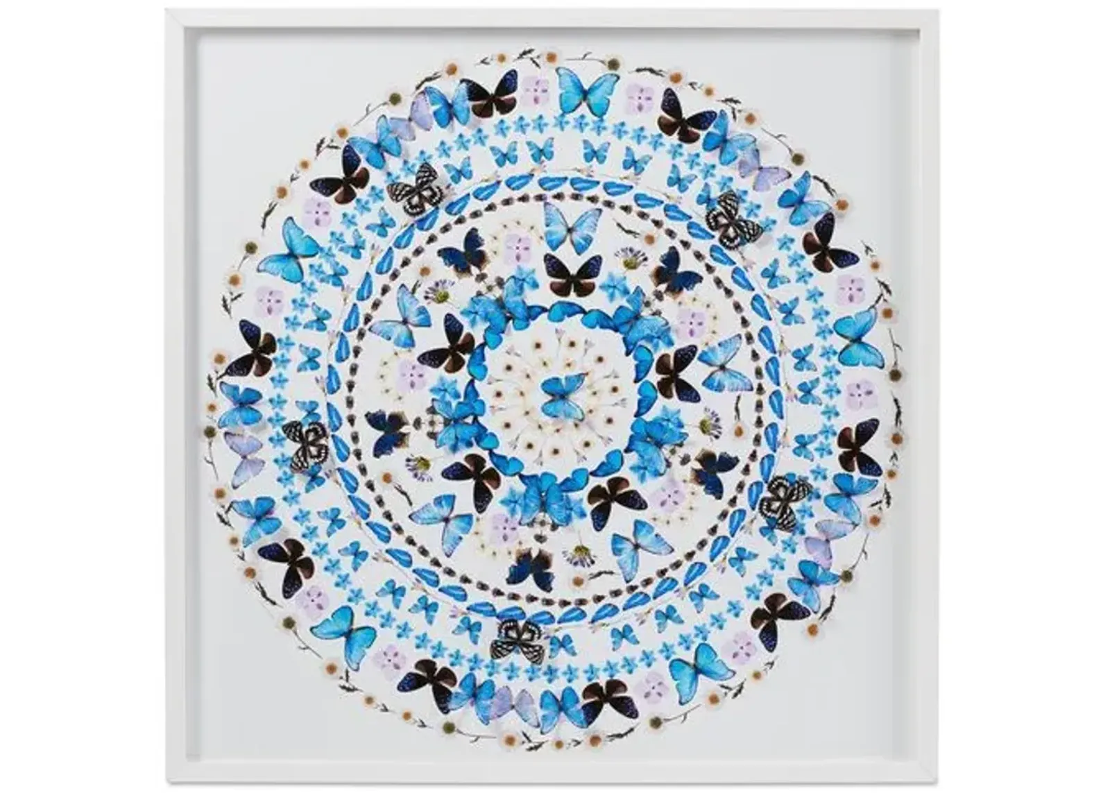 Dawn Wolfe - Summer Circle 2 - Dawn Wolfe Design - Blue