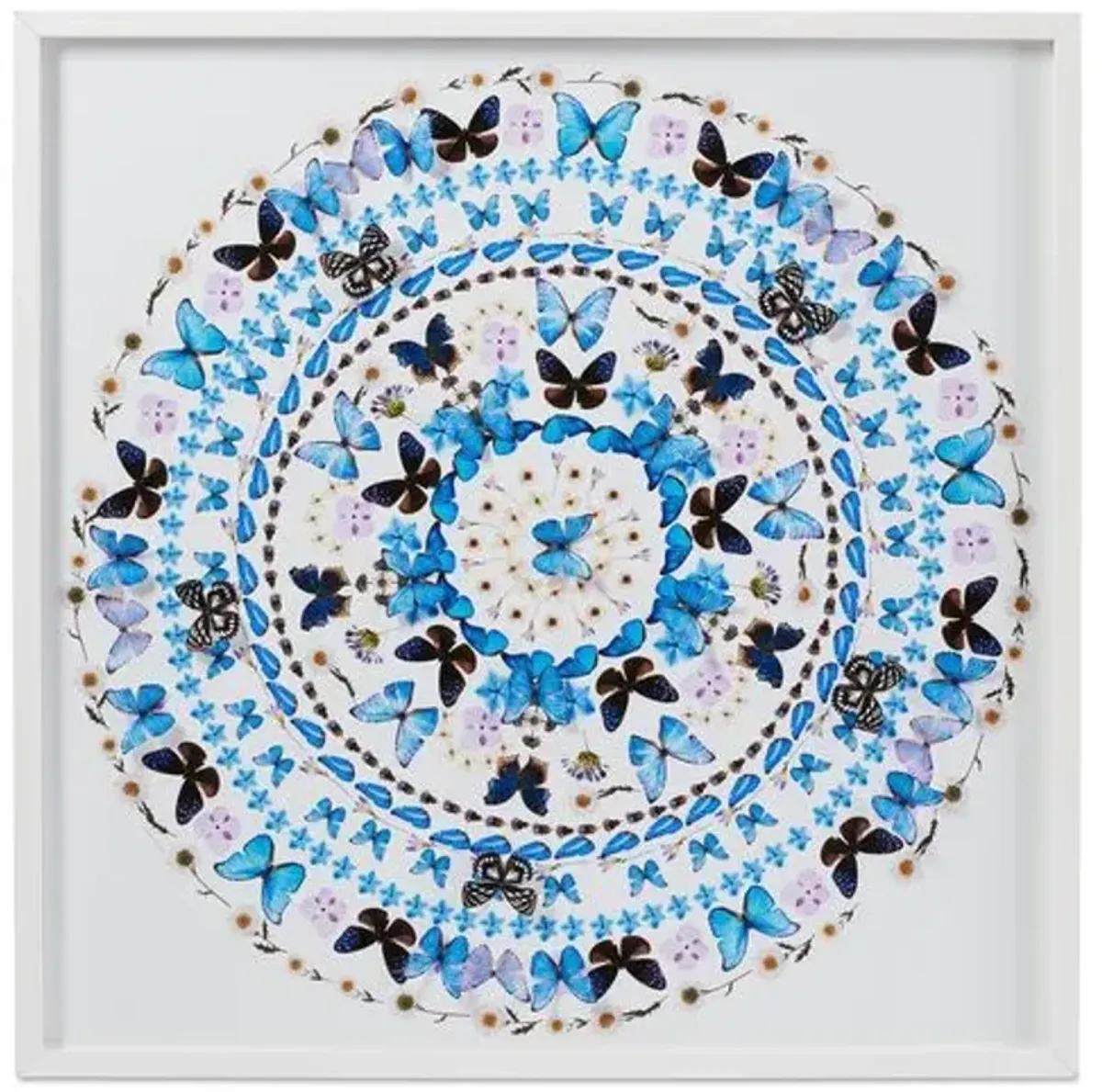 Dawn Wolfe - Summer Circle 2 - Dawn Wolfe Design - Blue