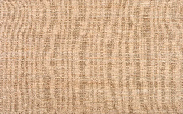 Arianna Jute Rug - Natural - Beige - Beige