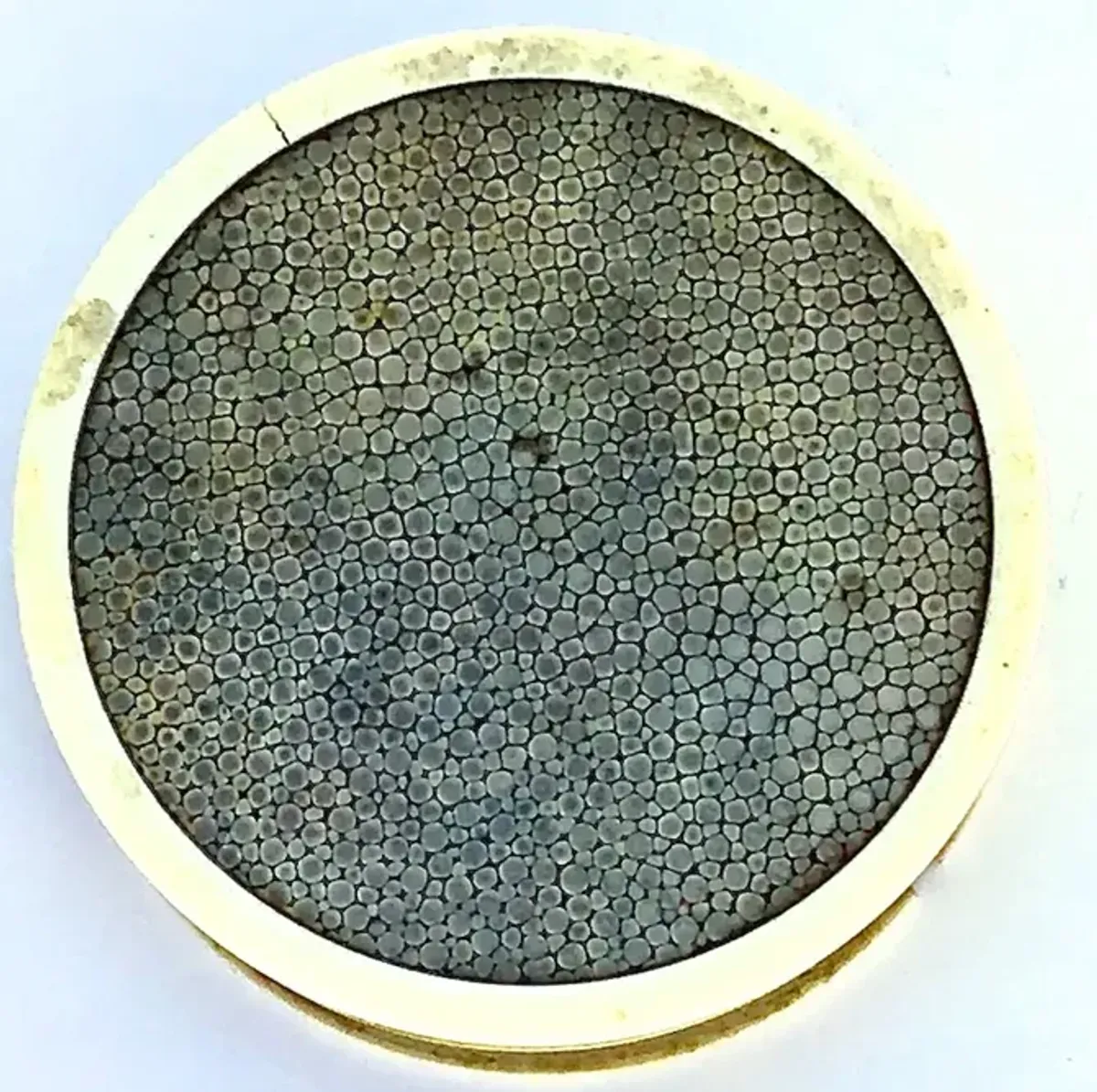 Signed Antique Round Lidded Shagreen Box - Vermilion Designs - Gold