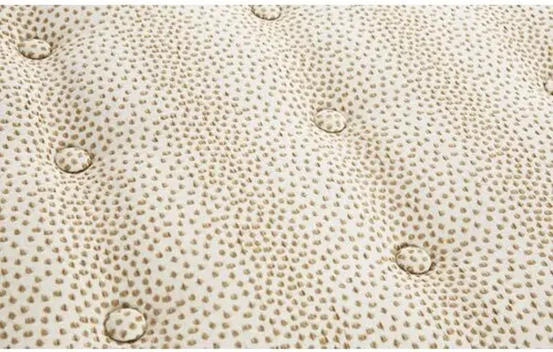 Dalton Pillow-Top Ottoman - Beige Dots