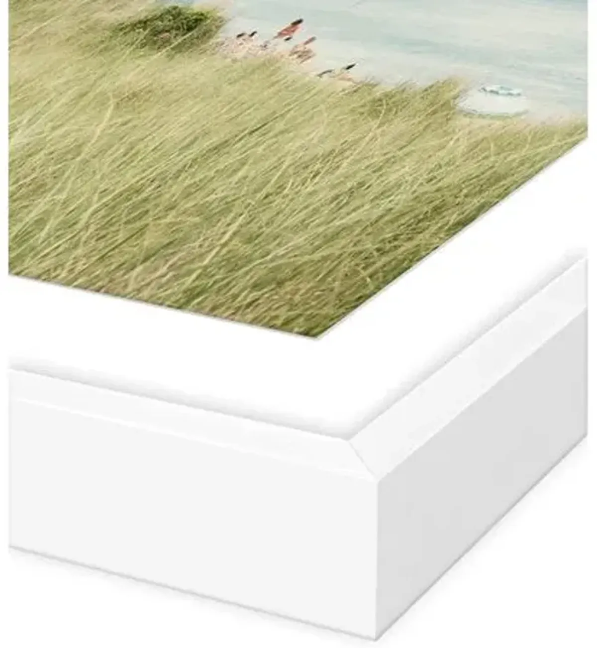 Christine Flynn - Nantucket Photograph - Green
