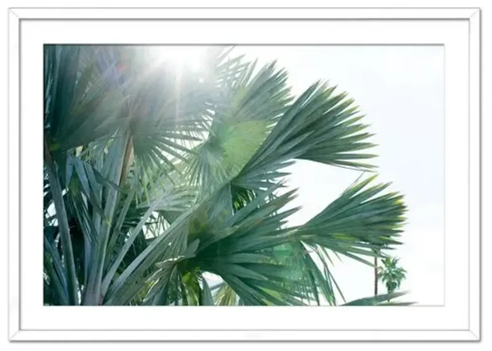 Christine Flynn - Palms - Green