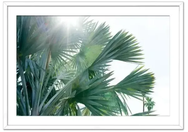 Christine Flynn - Palms Photograph - Green