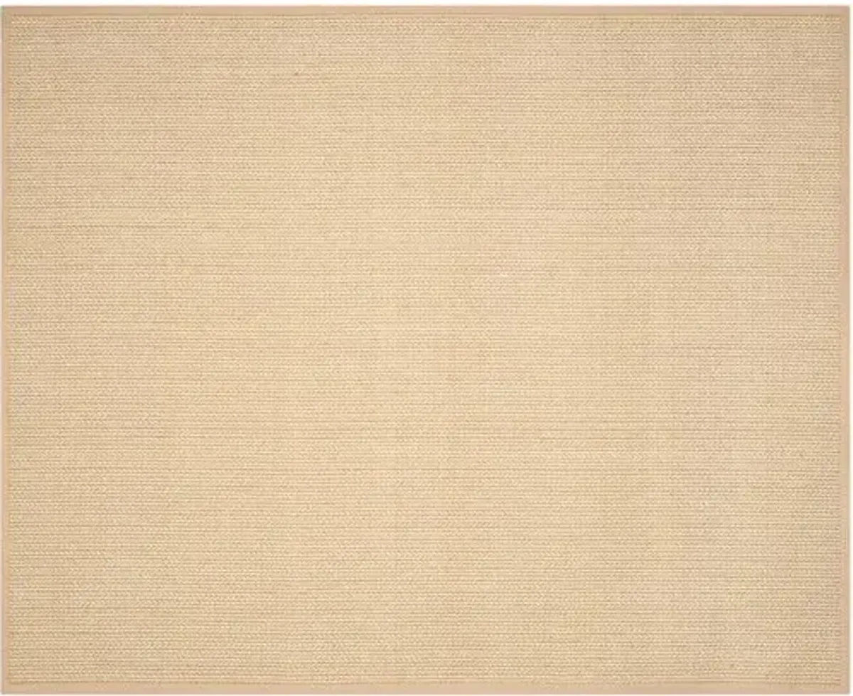 Tonnelle Sisal Rug - Beige - Beige