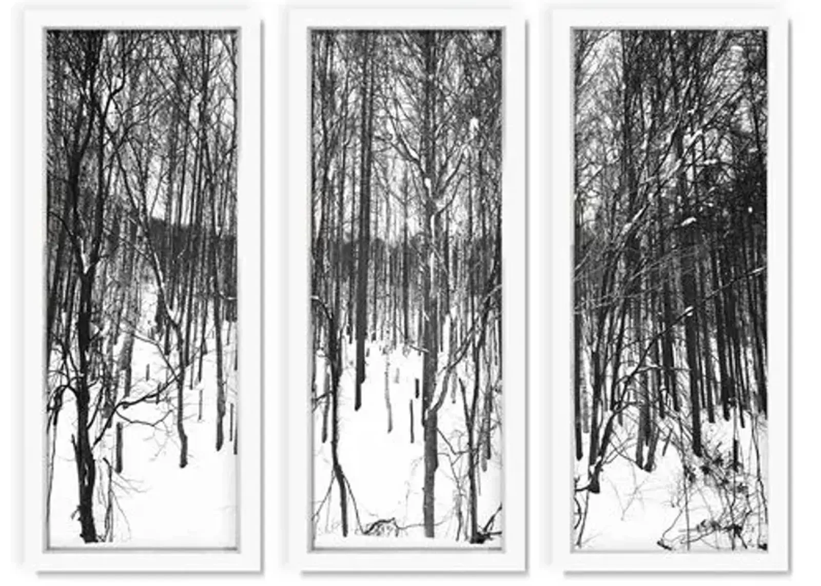 Pascal Shirley - Winter Forest I Triptych - Gray