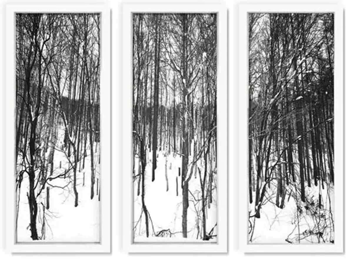 Pascal Shirley - Winter Forest I Triptych - Gray