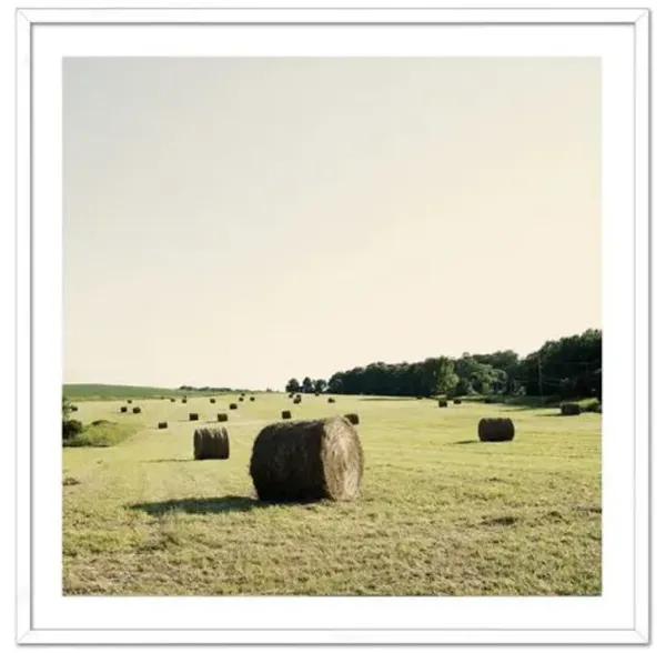 Christine Flynn - Hayfield Photograph - Green