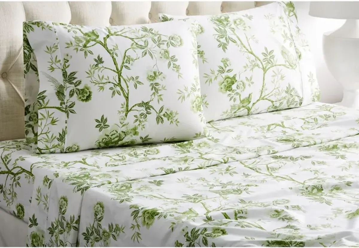 Josephine Sheet Set - Sage - Belle Epoque - Green, 300 Thread Count, Egyptian Cotton Sateen, Soft and Luxurious