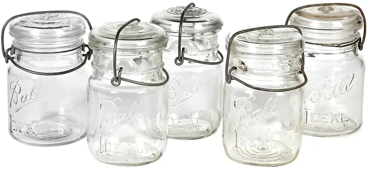 Kitchen Small Canning Jars - Set of 5 - 2-b-Modern - clear