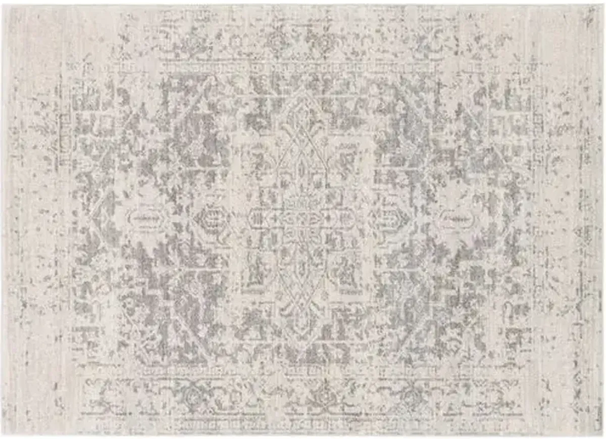 Corvi Rug - Neutral/Gray - Gray