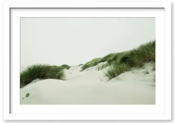 Christine Flynn - Oregon Dunes Photograph - Green
