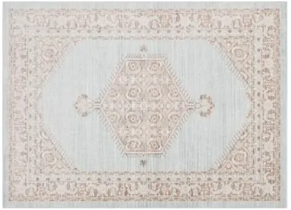 Udoka Rug - Seafoam - Beige - Beige