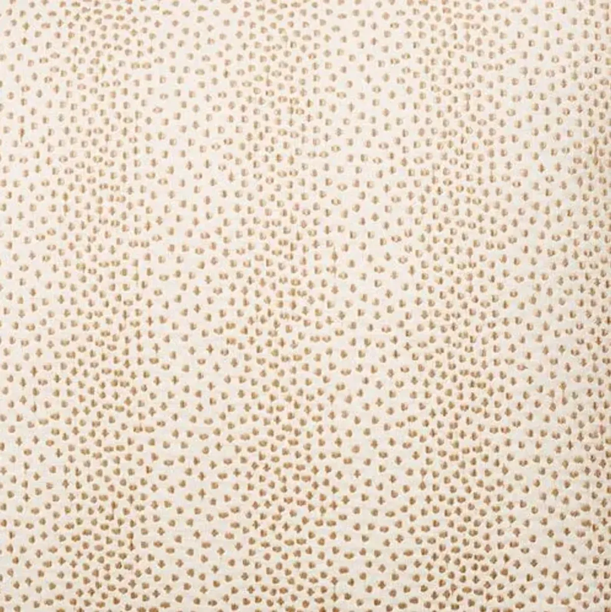 Imogen 19x19 Pillow - Beige Dots