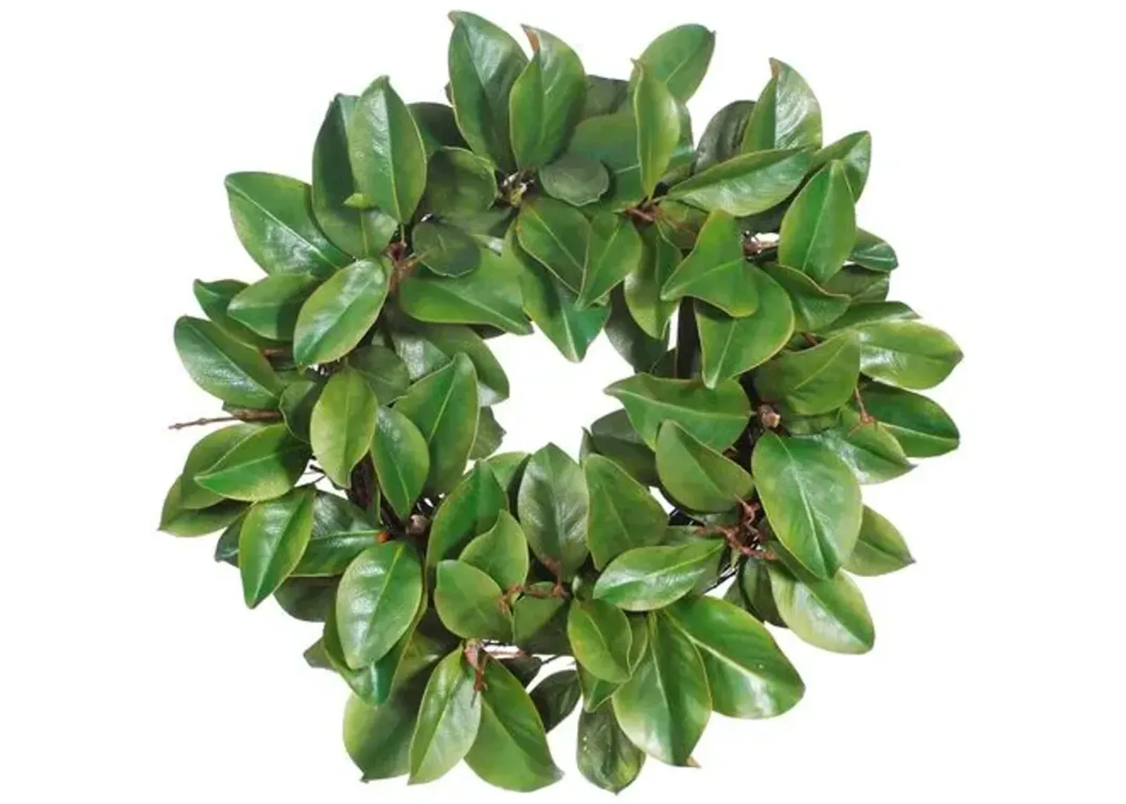 22" Magnolia Leaf Wreath - Faux - Handcrafted - Green