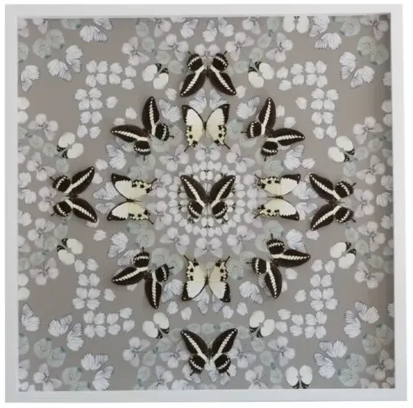 Dawn Wolfe - Butterfly Construction: Putty Gray - Dawn Wolfe Design