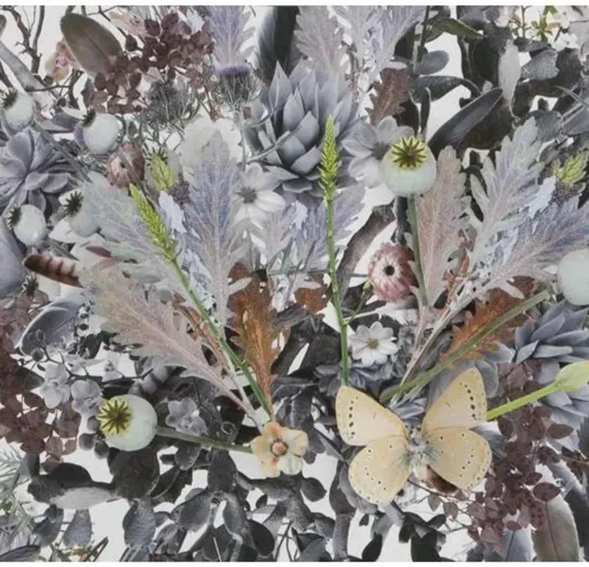 Dawn Wolfe - 3D Plant Montage: Muted - Dawn Wolfe Design - Pink