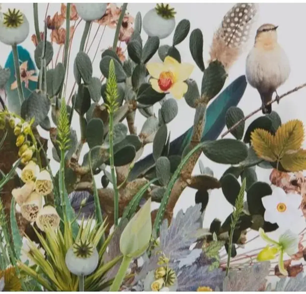 Dawn Wolfe - 3D Plant Montage w/Birds - Dawn Wolfe Design - Green