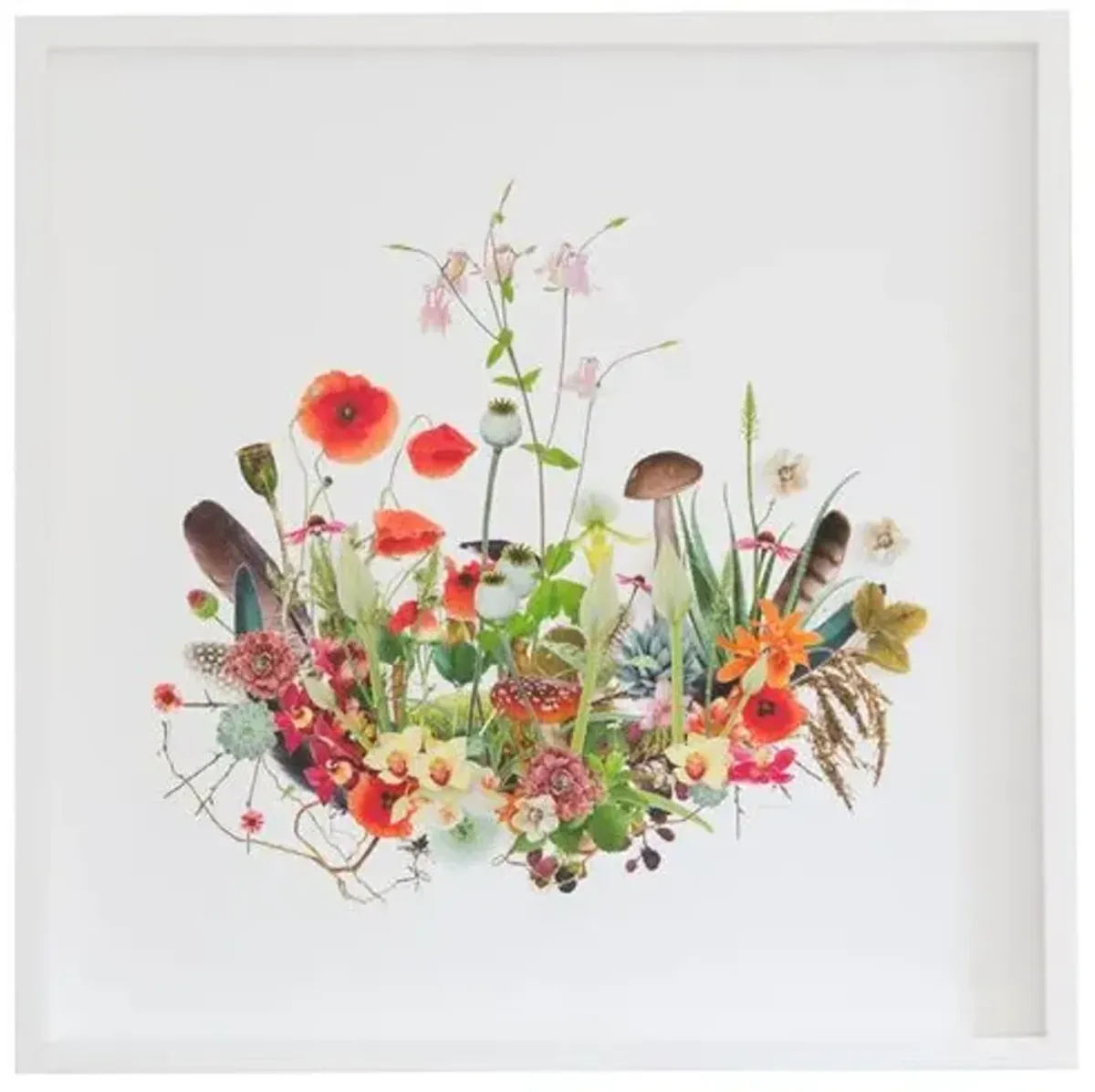 Dawn Wolfe - 3D Plant Montage: Poppies - Dawn Wolfe Design - Pink