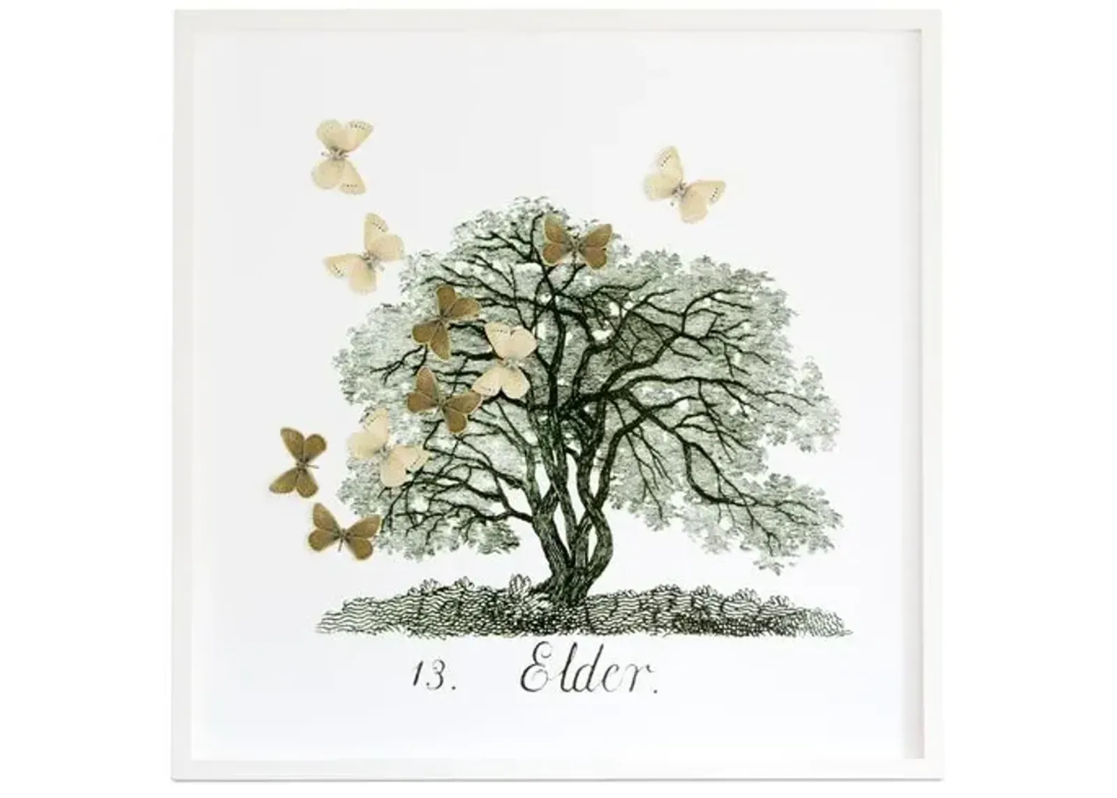 Dawn Wolfe - Tree w/Moth Cutouts: Elder - Dawn Wolfe Design - Green