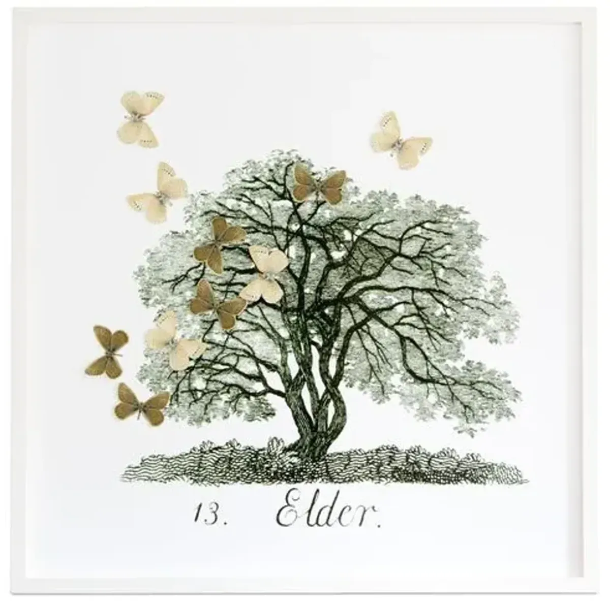 Dawn Wolfe - Tree w/Moth Cutouts: Elder - Dawn Wolfe Design - Green