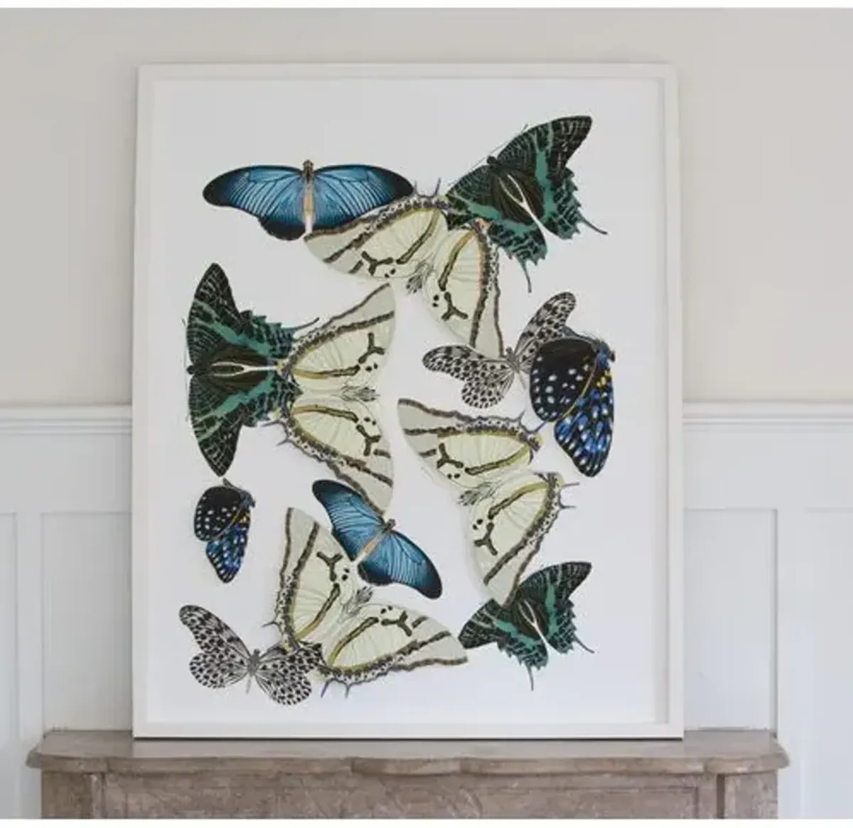 Dawn Wolfe - Moths & Butterflies: Blue/Green - Dawn Wolfe Design