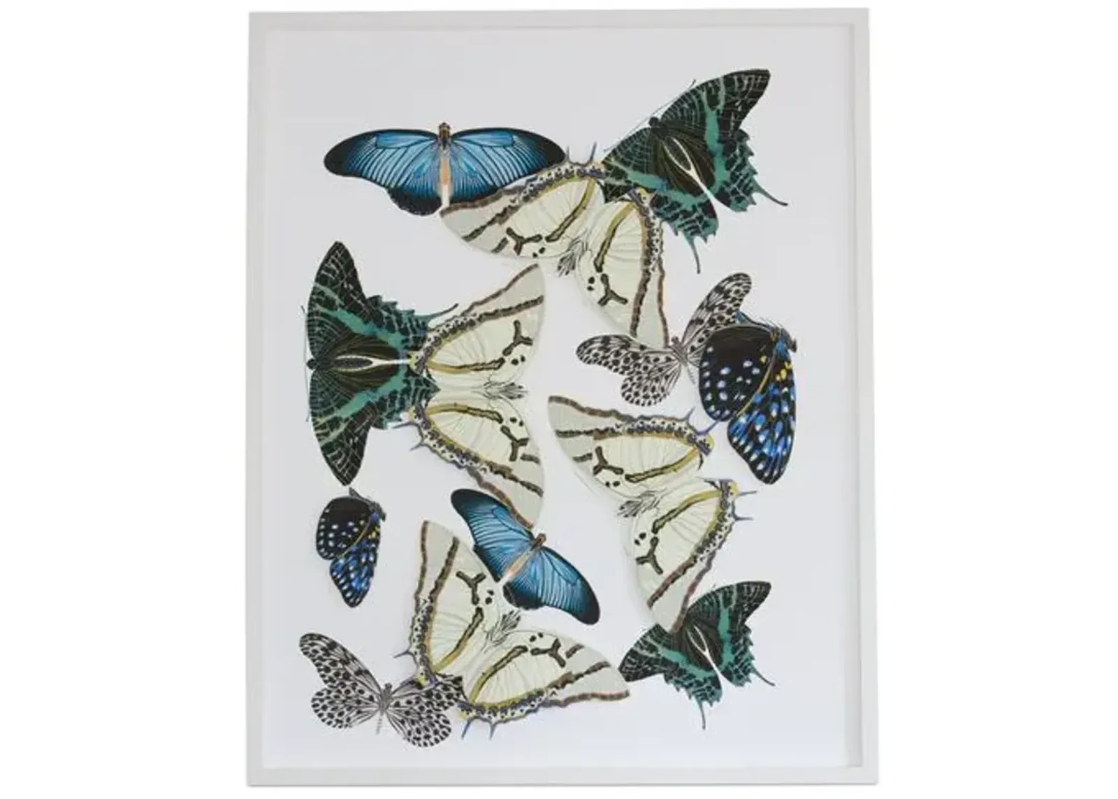 Dawn Wolfe - Moths & Butterflies: Blue/Green - Dawn Wolfe Design