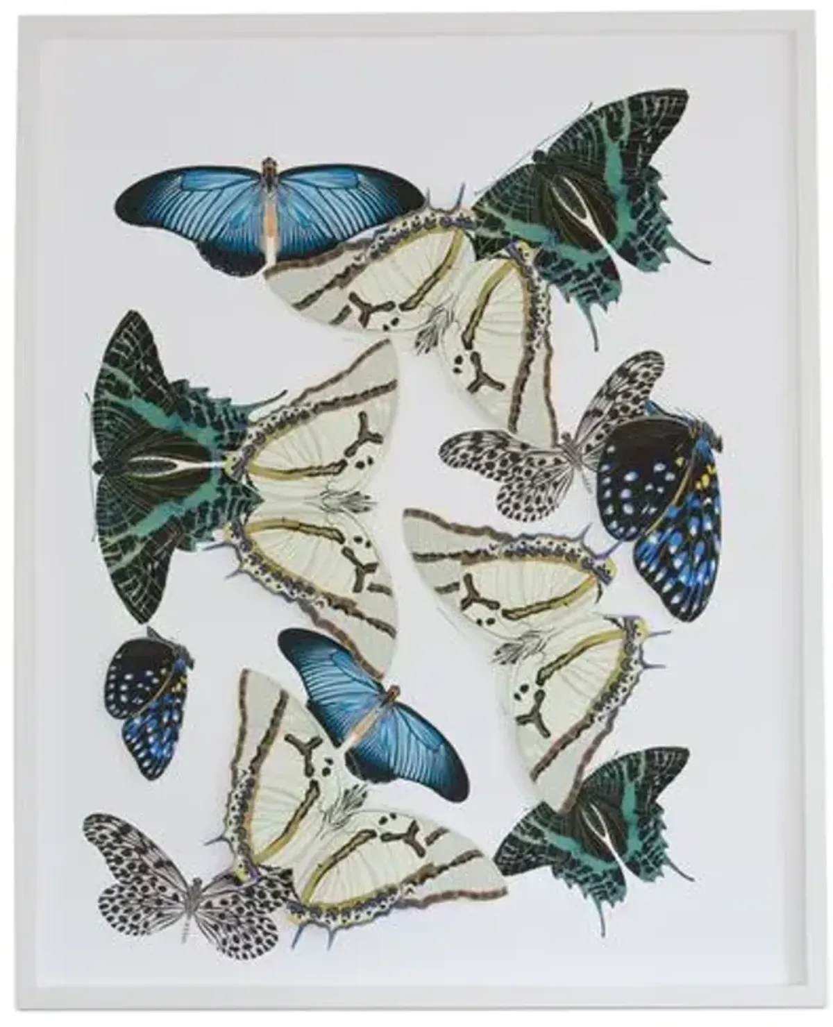 Dawn Wolfe - Moths & Butterflies: Blue/Green - Dawn Wolfe Design