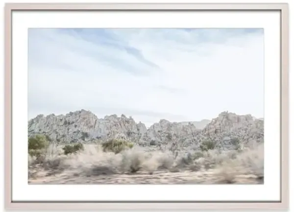 Amy Neunsinger - Joshua Tree 10 Photograph - Beige