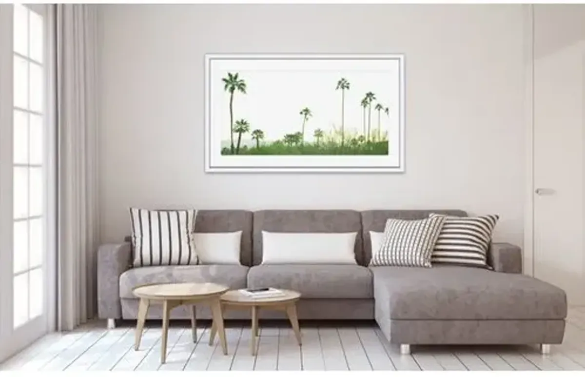 Amy Neunsinger - Palmscape Photograph - Green