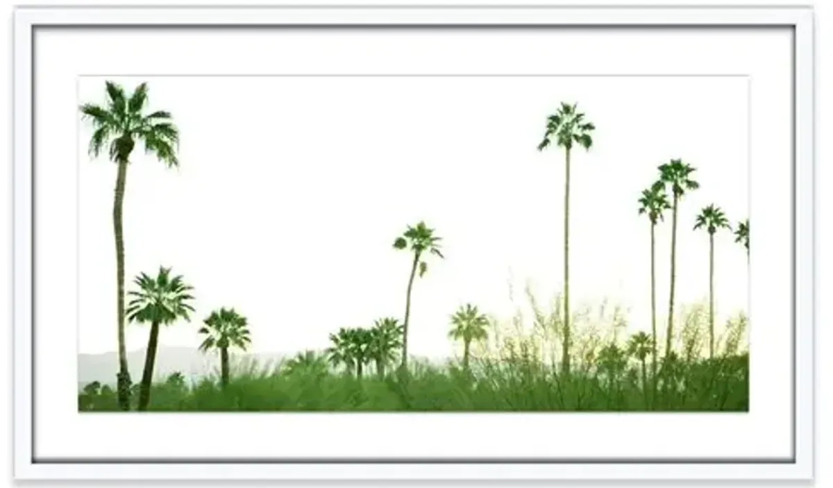 Amy Neunsinger - Palmscape Photograph - Green