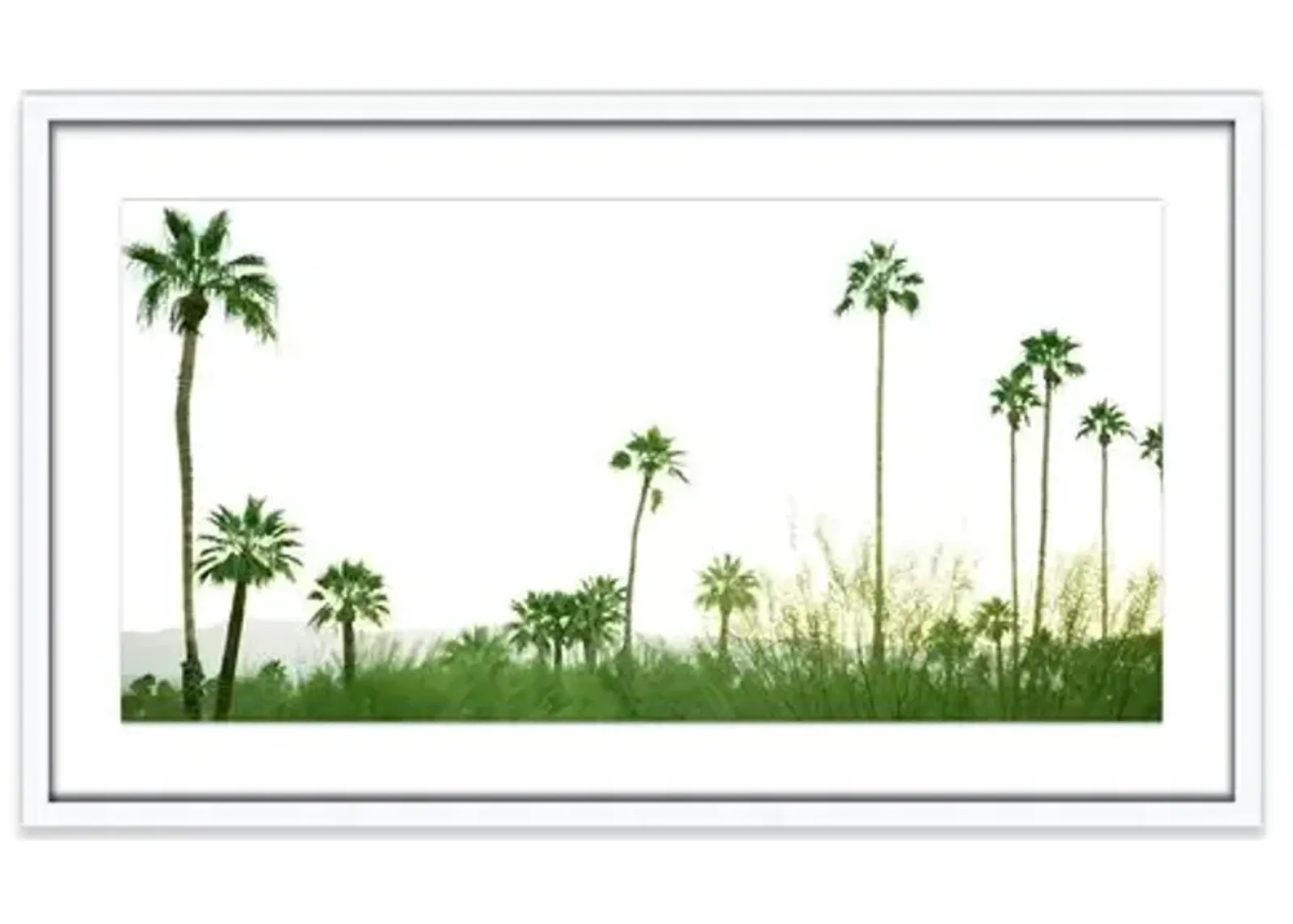 Amy Neunsinger - Palmscape - Green