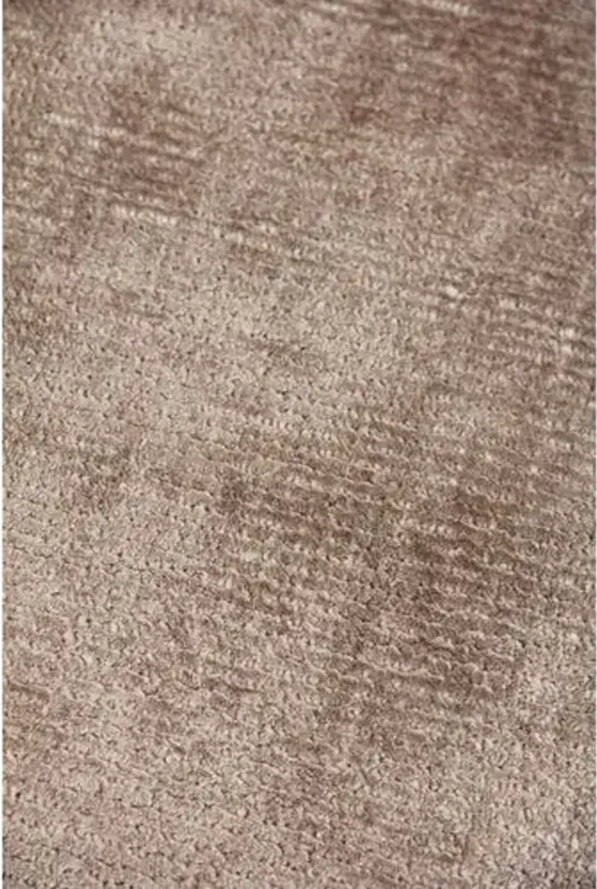 Badila Rug - Taupe - Exquisite Rugs - Beige - Beige