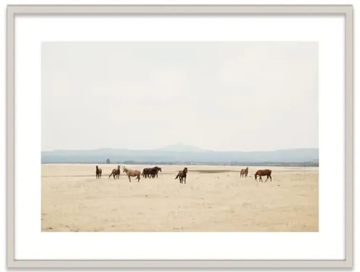 Christine Flynn - Wild Horses II - Beige