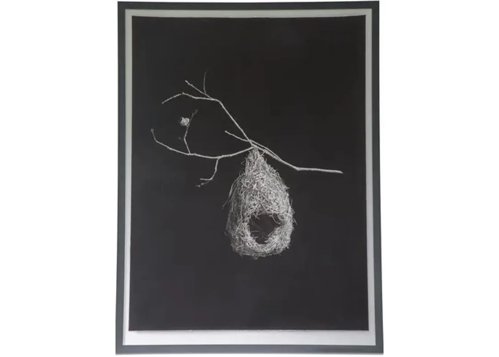 Dawn Wolfe - Weaver Bird Nest-Black - Dawn Wolfe Design