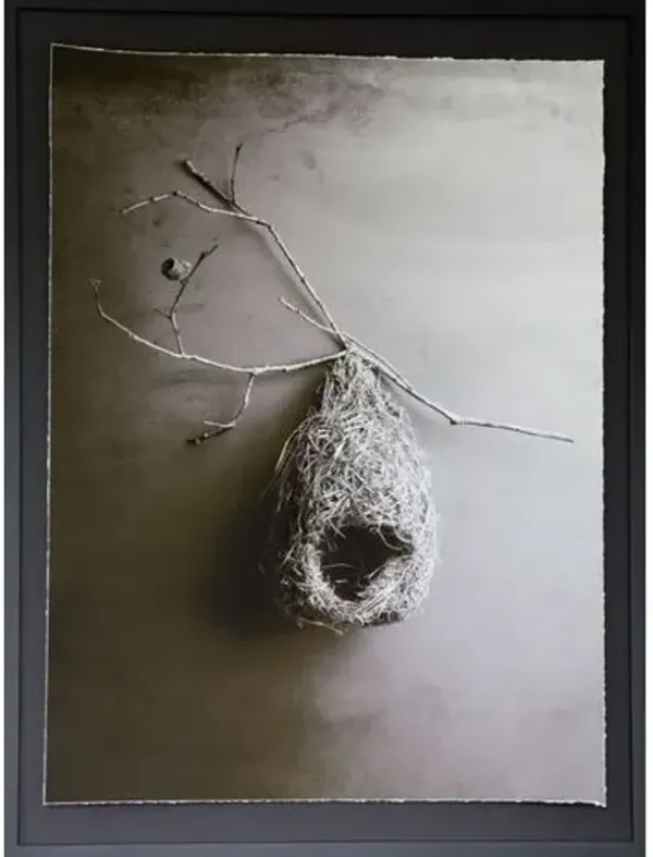 Dawn Wolfe - Weaver Bird Nest - Dawn Wolfe Design - Gray