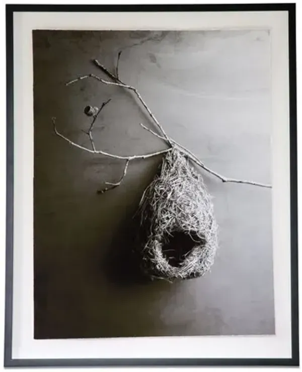 Dawn Wolfe - Weaver Bird Nest - Dawn Wolfe Design - Gray