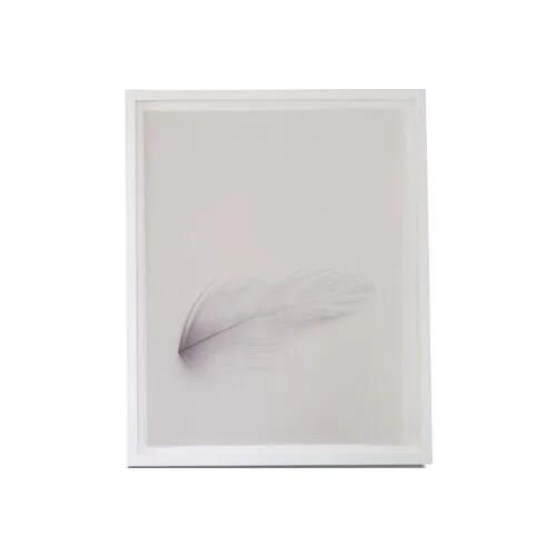 Dawn Wolfe - Down Feather - Dawn Wolfe Design - White