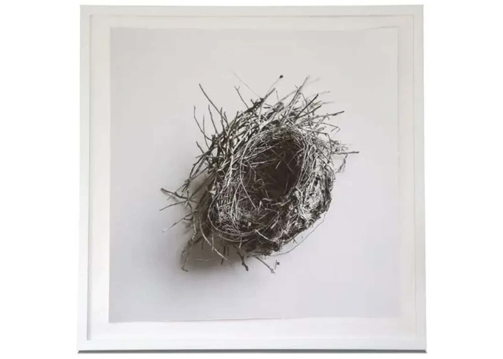 Dawn Wolfe - Robin Nest - Dawn Wolfe Design - Gray