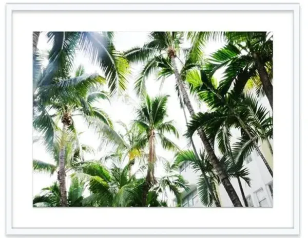Natalie Obradovich - Miami Palms Photograph - Green