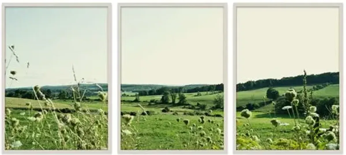 Christine Flynn - Hudson Valley Photograph - Green