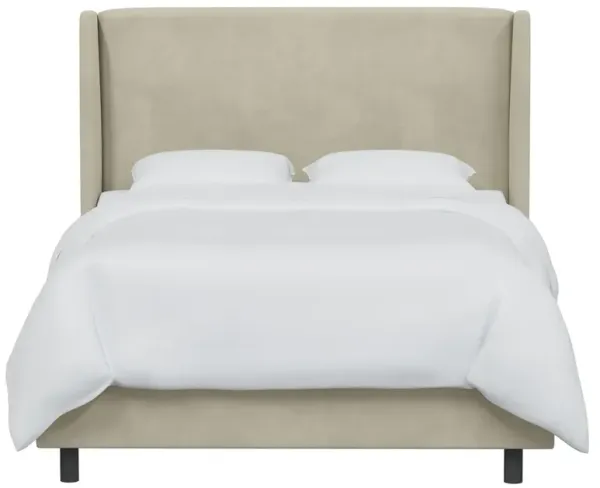 Kelly Velvet Wingback Bed