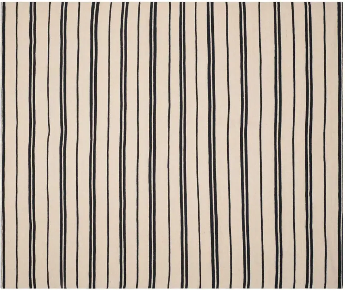 Sagaponeck Stripe Rug