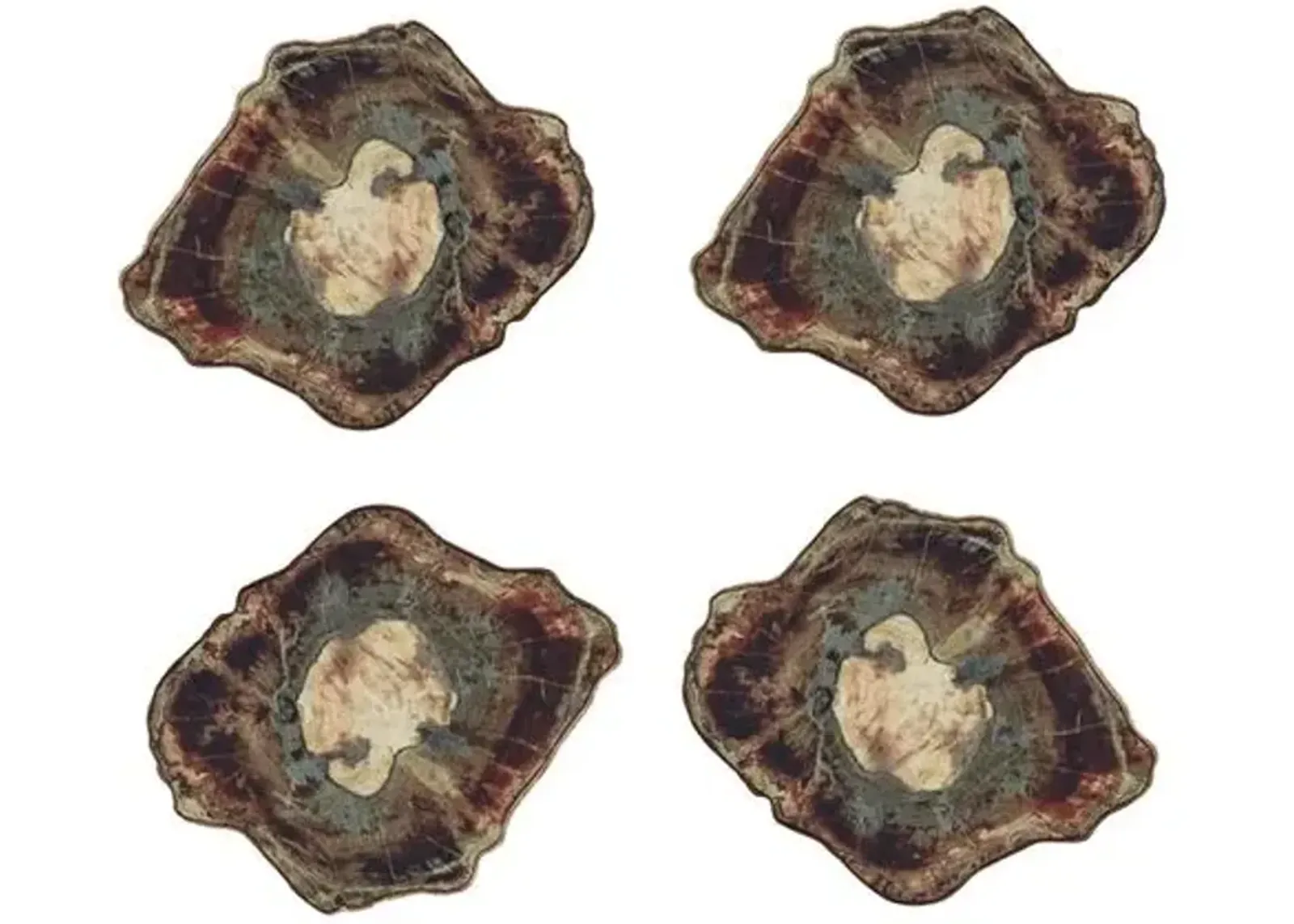 Set of 4 Fossil Coasters - Natural - Kim Seybert - Brown