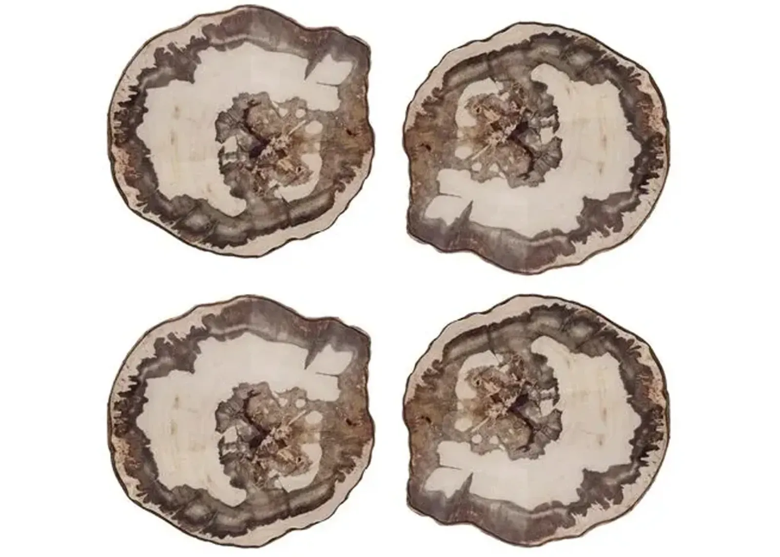 Set of 4 Petrified Coasters - Natural - Kim Seybert - Gray