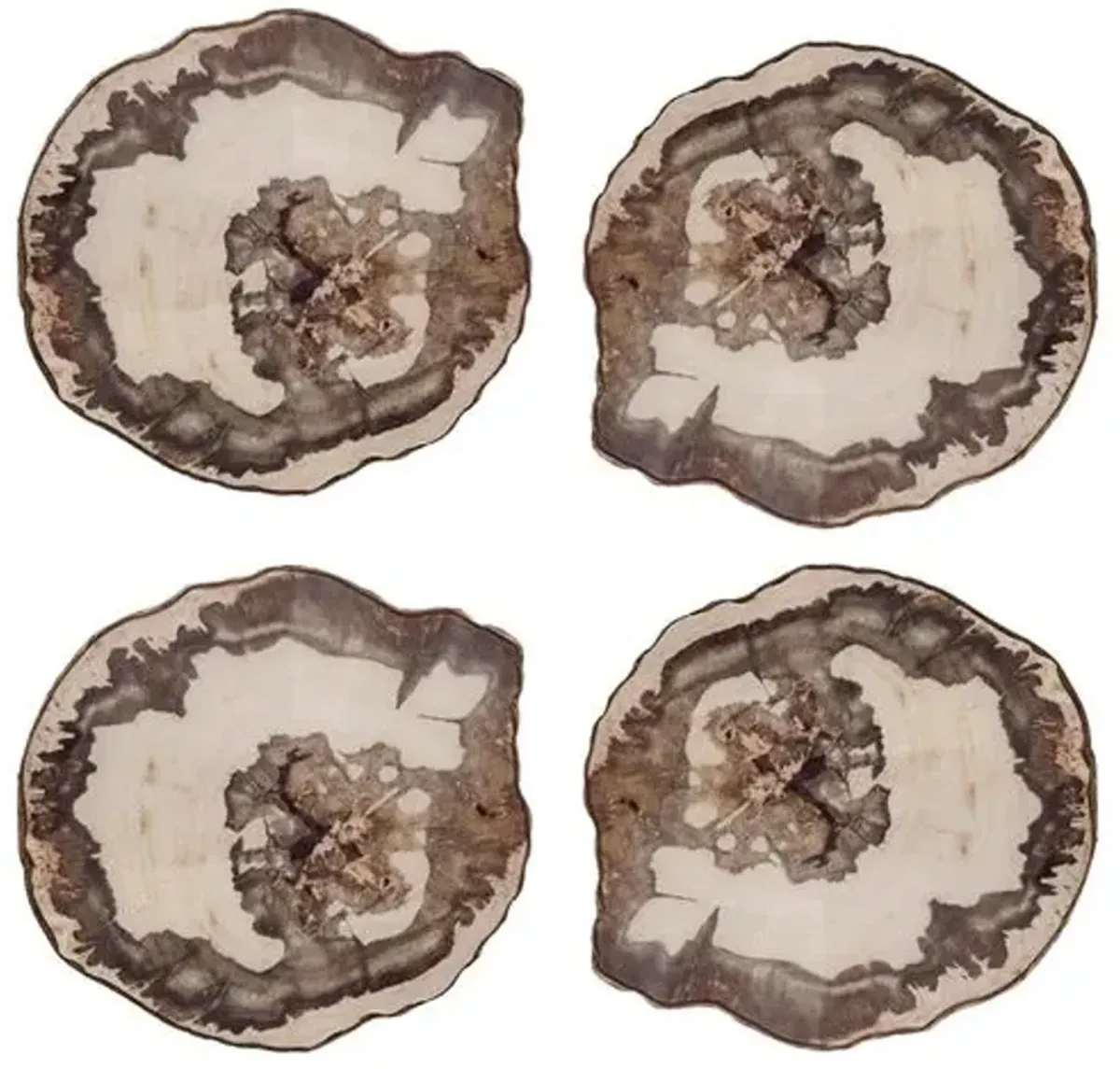 Set of 4 Petrified Coasters - Natural - Kim Seybert - Gray