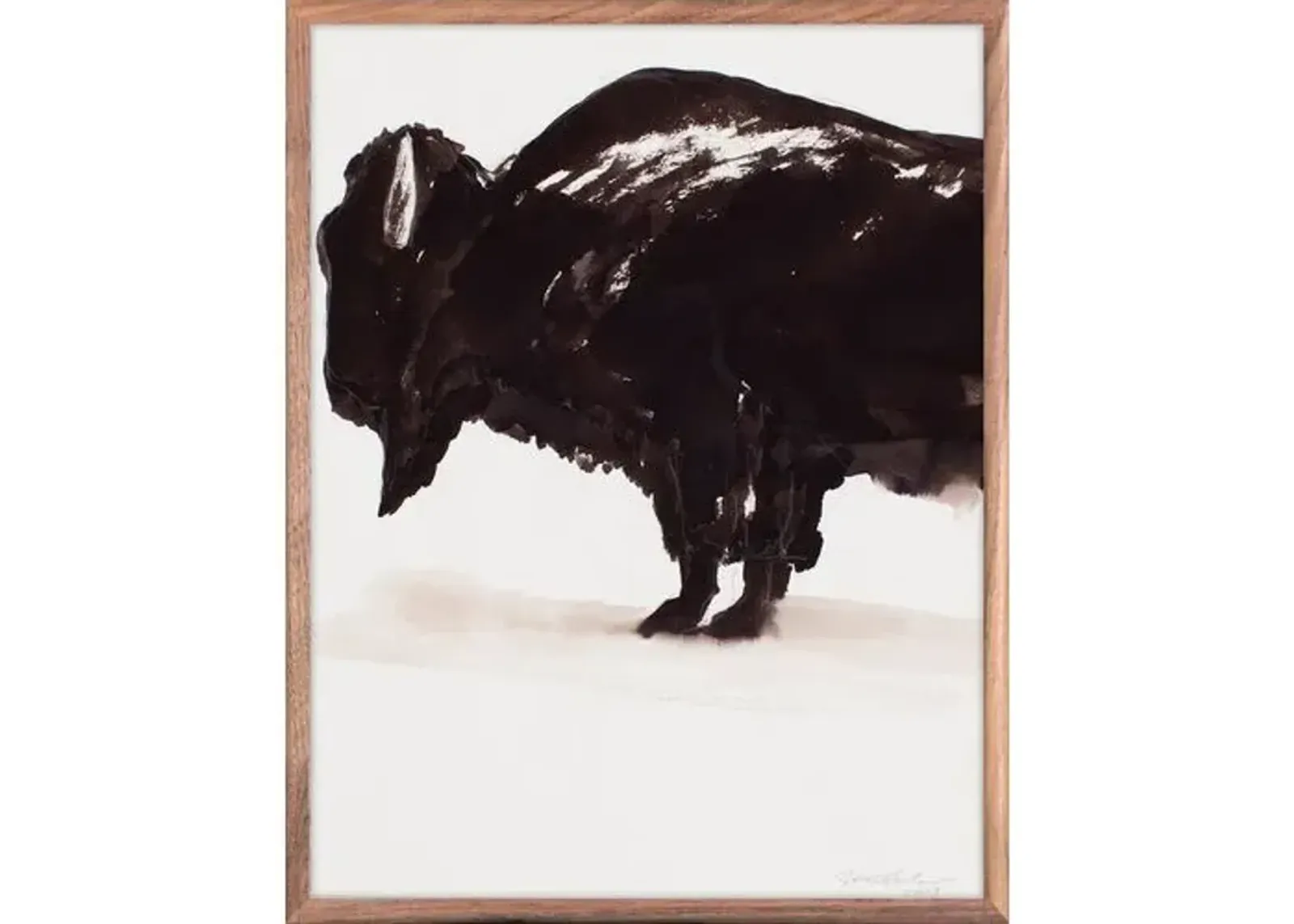 Joseph Knowles Jr. - Bison - Zoe Bios Creative - Black