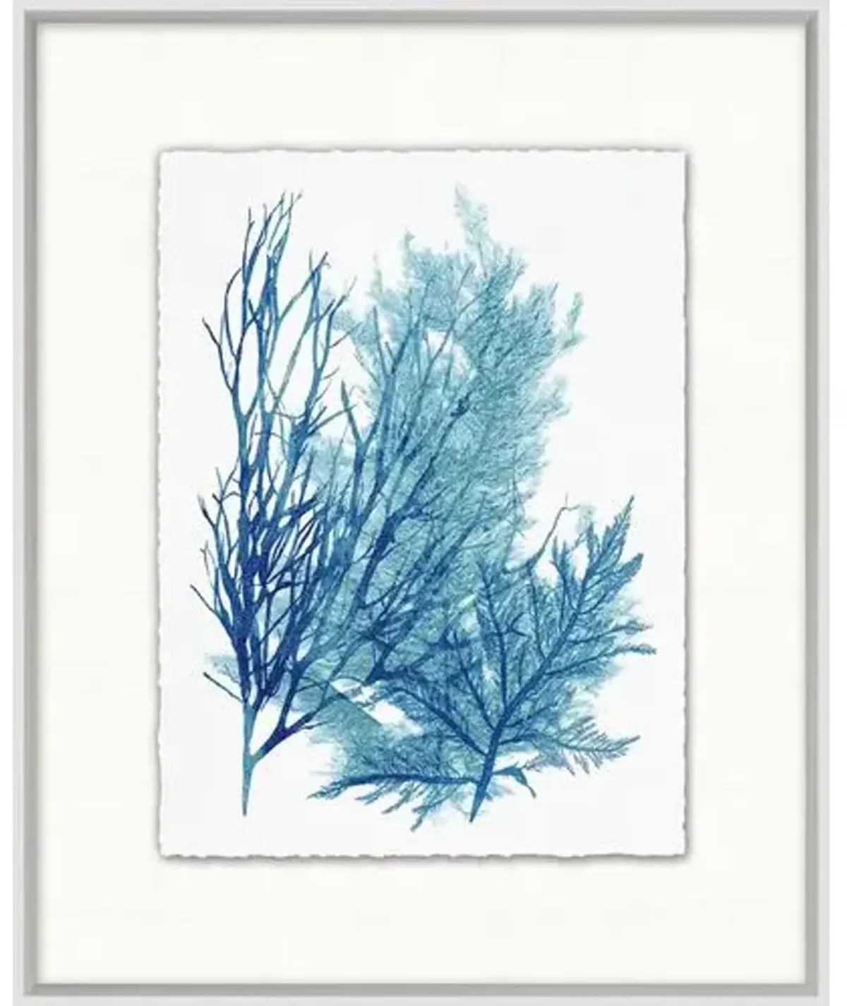 Lillian August - Azure Ocean Herbarium 7-9 - Blue